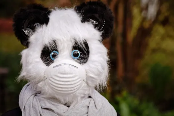 SlotsWin Casino Assistance